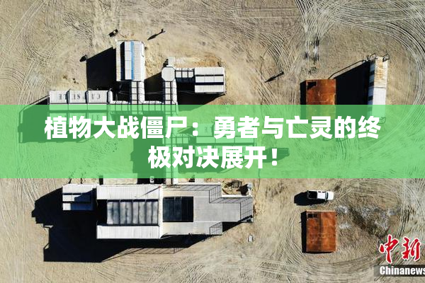 植物大战僵尸：勇者与亡灵的终极对决展开！