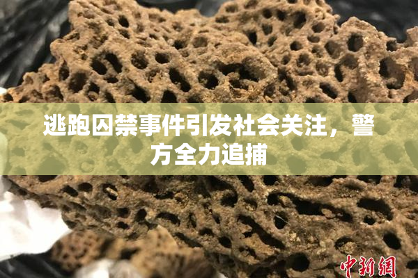 逃跑囚禁事件引发社会关注，警方全力追捕