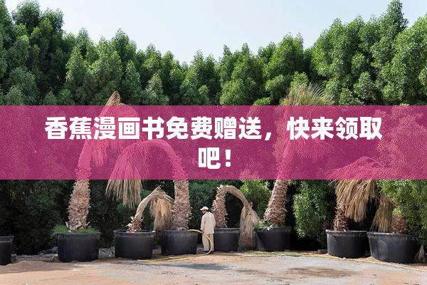 香蕉漫画书免费赠送，快来领取吧！