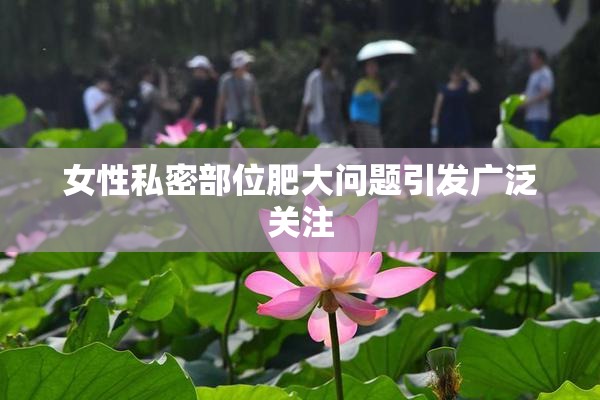 女性私密部位肥大问题引发广泛关注