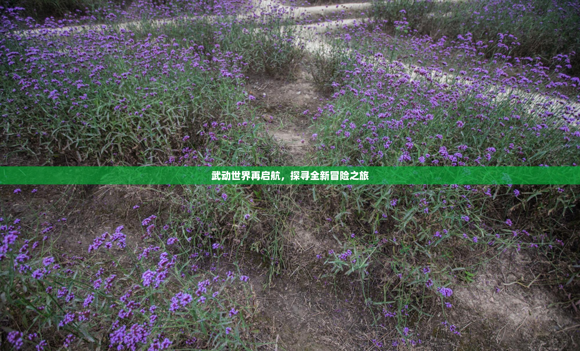 武动世界再启航，探寻全新冒险之旅