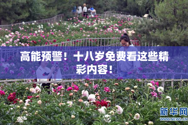 高能预警！十八岁免费看这些精彩内容！