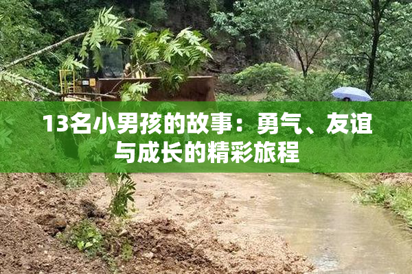 13名小男孩的故事：勇气、友谊与成长的精彩旅程