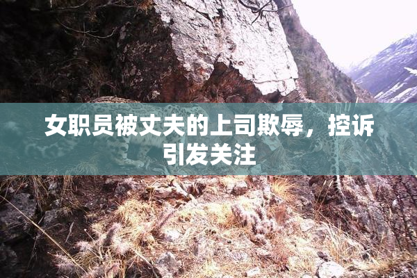 女职员被丈夫的上司欺辱，控诉引发关注