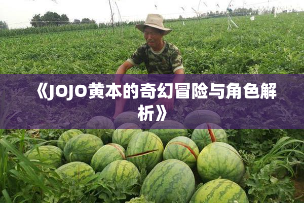 《JOJO黄本的奇幻冒险与角色解析》