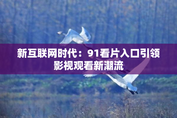 新互联网时代：91看片入口引领影视观看新潮流