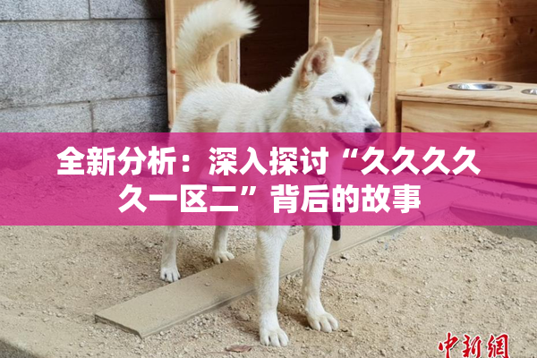 全新分析：深入探讨“久久久久久一区二”背后的故事