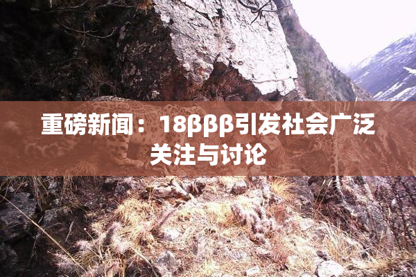 重磅新闻：18βββ引发社会广泛关注与讨论