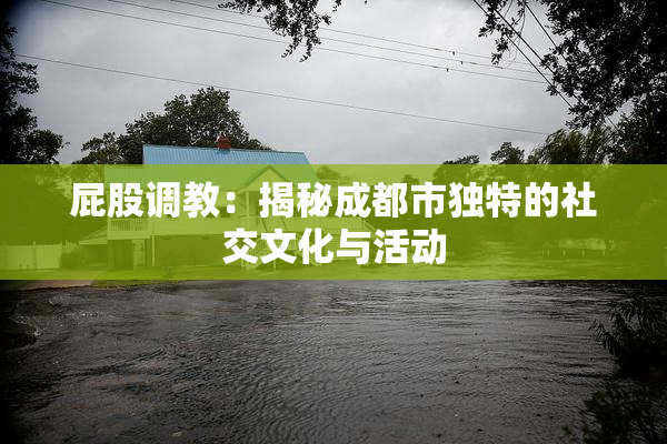 屁股调教：揭秘成都市独特的社交文化与活动