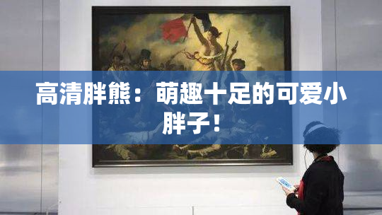 高清胖熊：萌趣十足的可爱小胖子！