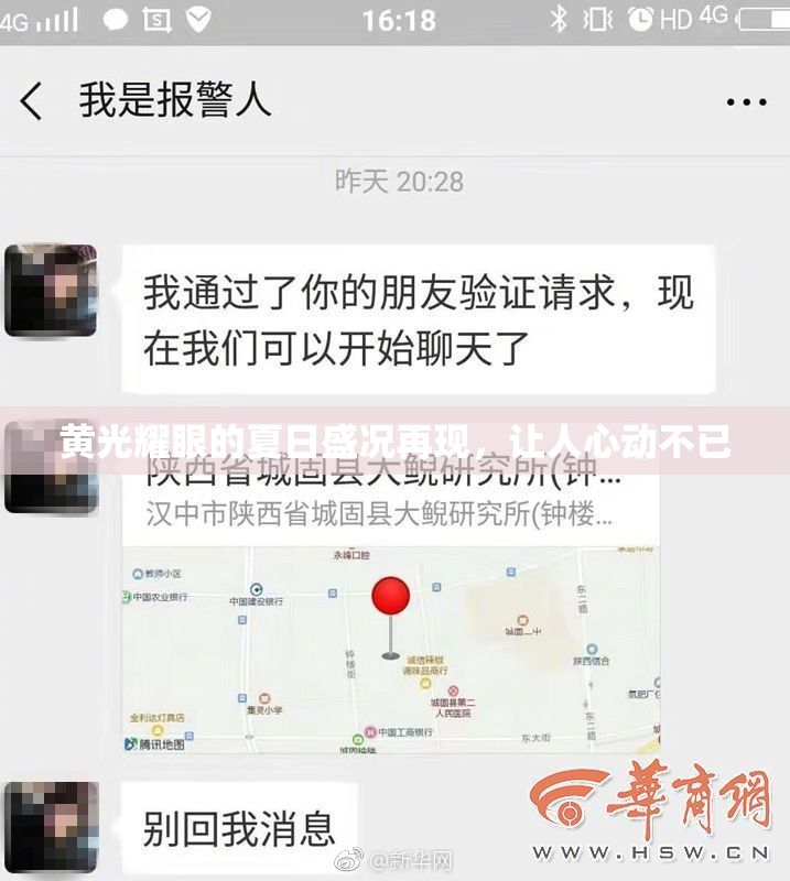 黄光耀眼的夏日盛况再现，让人心动不已