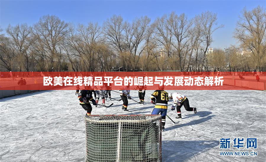 欧美在线精品平台的崛起与发展动态解析