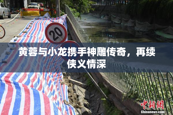 黄蓉与小龙携手神雕传奇，再续侠义情深