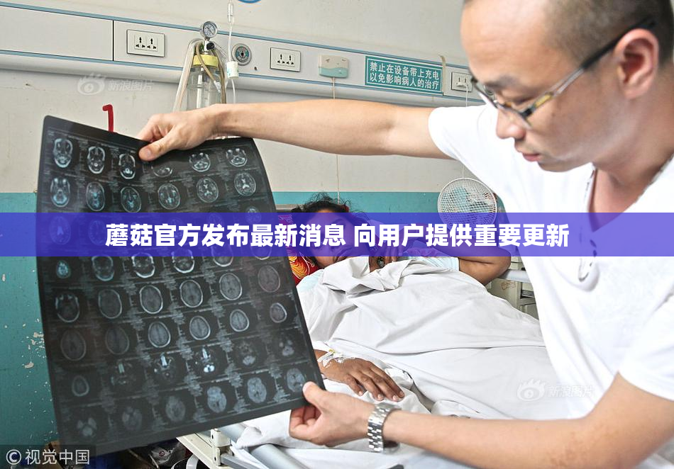 蘑菇官方发布最新消息 向用户提供重要更新