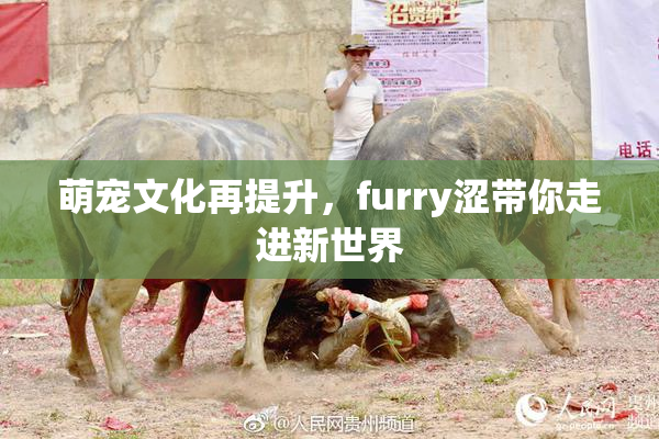 萌宠文化再提升，furry涩带你走进新世界
