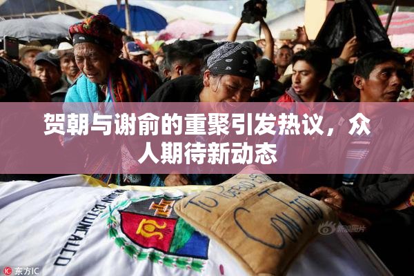 贺朝与谢俞的重聚引发热议，众人期待新动态