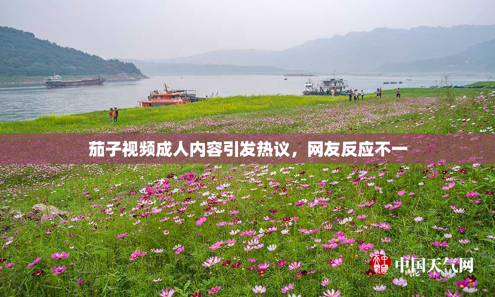 茄子视频成人内容引发热议，网友反应不一