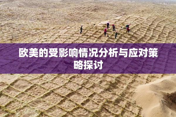 欧美的受影响情况分析与应对策略探讨
