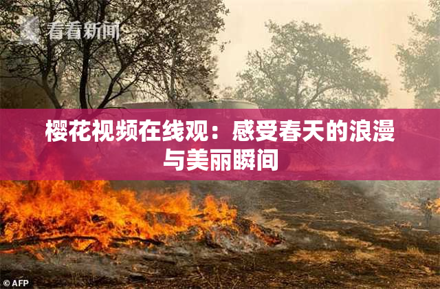 樱花视频在线观：感受春天的浪漫与美丽瞬间