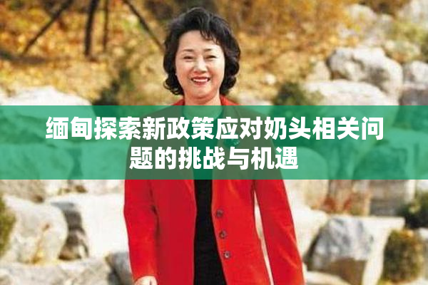缅甸探索新政策应对奶头相关问题的挑战与机遇