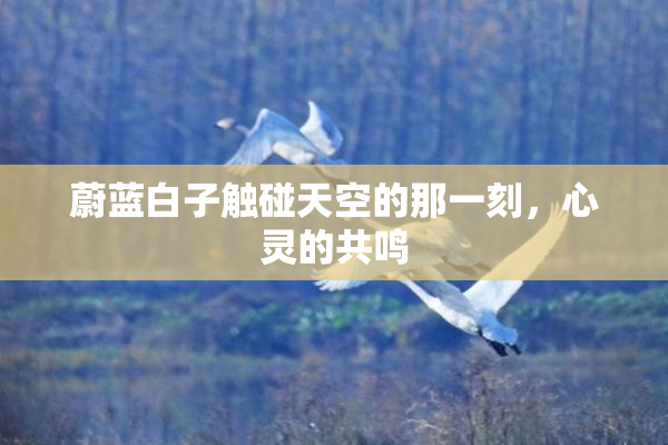 蔚蓝白子触碰天空的那一刻，心灵的共鸣