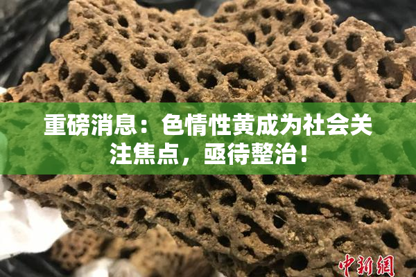 重磅消息：色情性黄成为社会关注焦点，亟待整治！