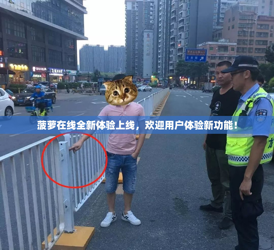 菠萝在线全新体验上线，欢迎用户体验新功能！