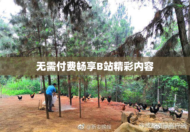 无需付费畅享B站精彩内容