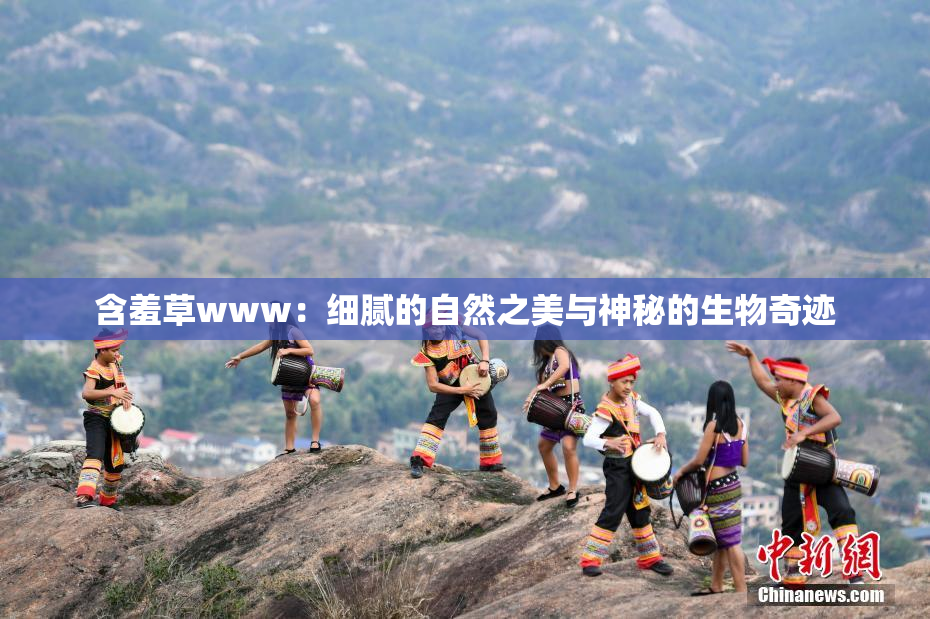 含羞草www：细腻的自然之美与神秘的生物奇迹