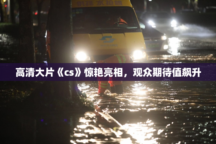 高清大片《cs》惊艳亮相，观众期待值飙升
