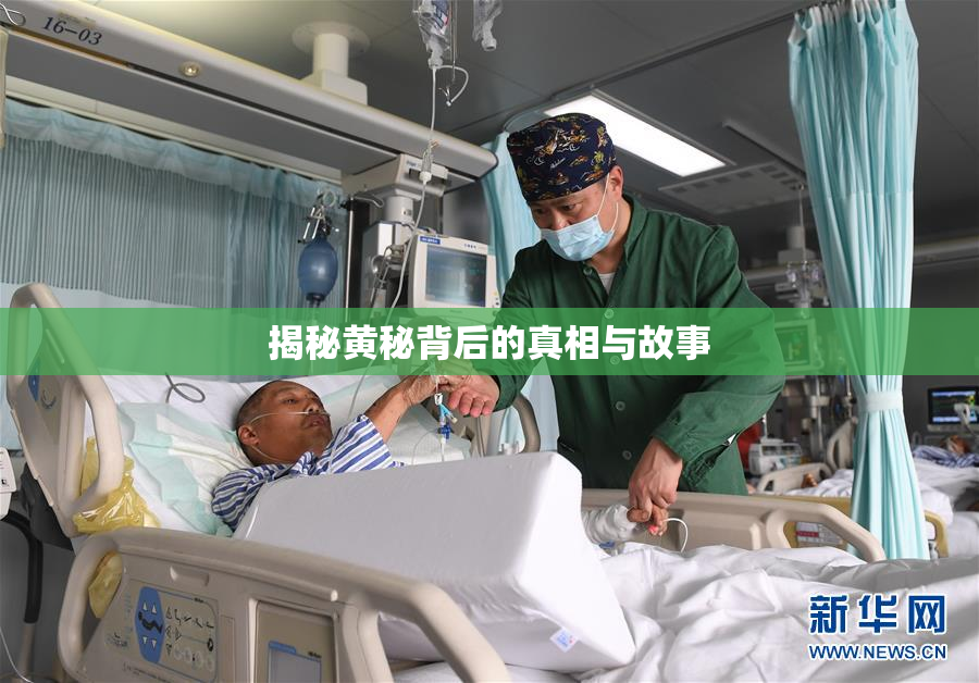 揭秘黄秘背后的真相与故事