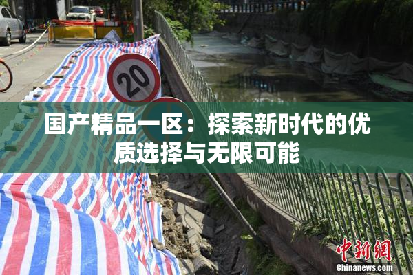 国产精品一区：探索新时代的优质选择与无限可能