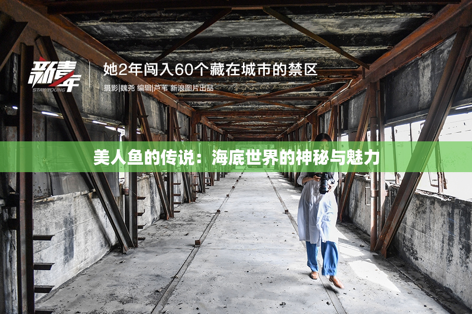 美人鱼的传说：海底世界的神秘与魅力