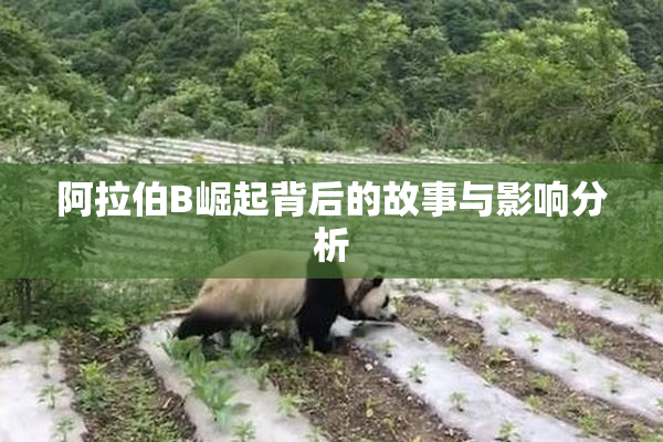 阿拉伯B崛起背后的故事与影响分析