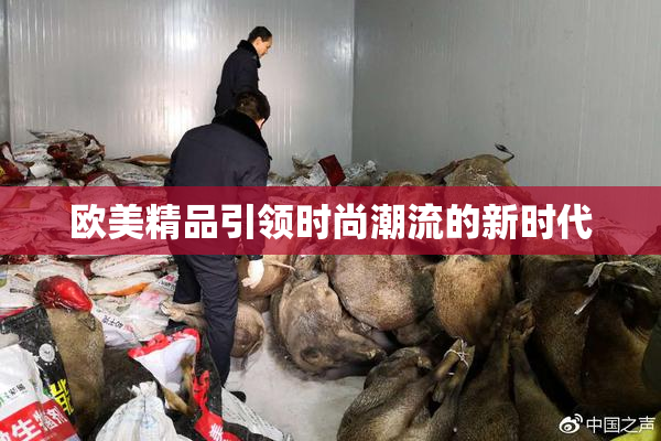 欧美精品引领时尚潮流的新时代