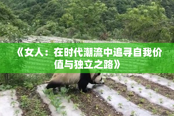 《女人：在时代潮流中追寻自我价值与独立之路》