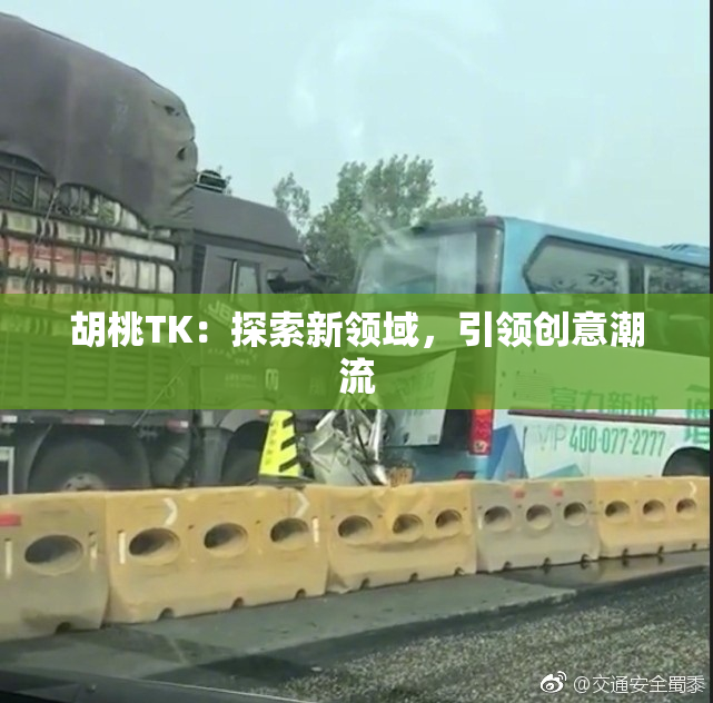 胡桃TK：探索新领域，引领创意潮流