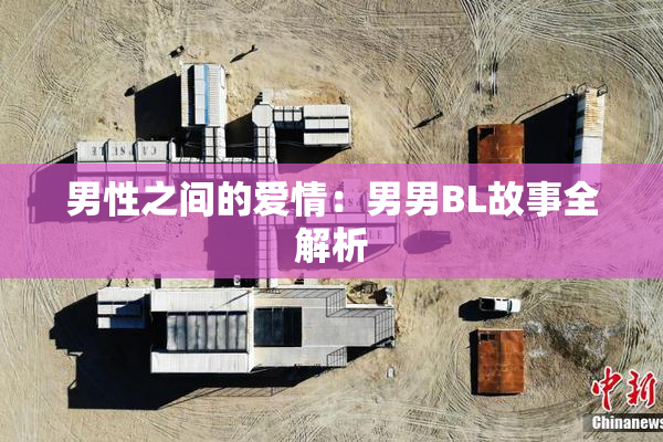 男性之间的爱情：男男BL故事全解析