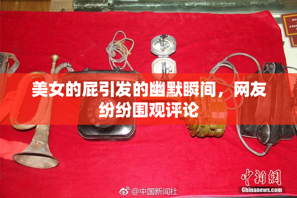美女的屁引发的幽默瞬间，网友纷纷围观评论