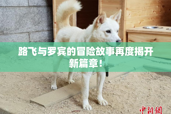 路飞与罗宾的冒险故事再度揭开新篇章！