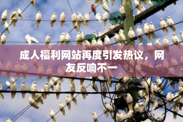 成人福利网站再度引发热议，网友反响不一