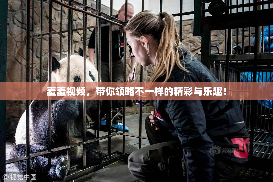 羞羞视频，带你领略不一样的精彩与乐趣！