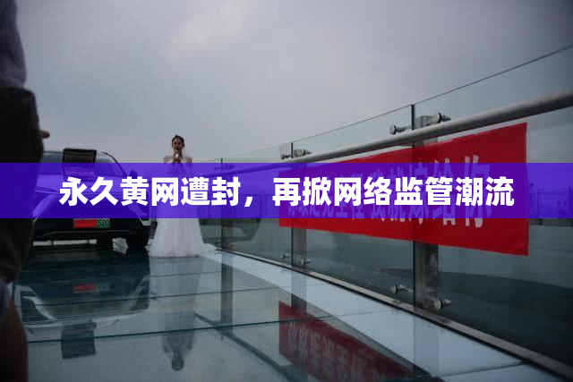 永久黄网遭封，再掀网络监管潮流