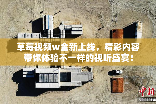 草莓视频w全新上线，精彩内容带你体验不一样的视听盛宴！