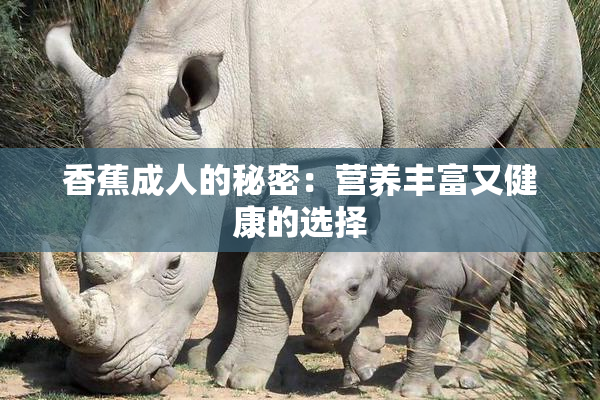 香蕉成人的秘密：营养丰富又健康的选择