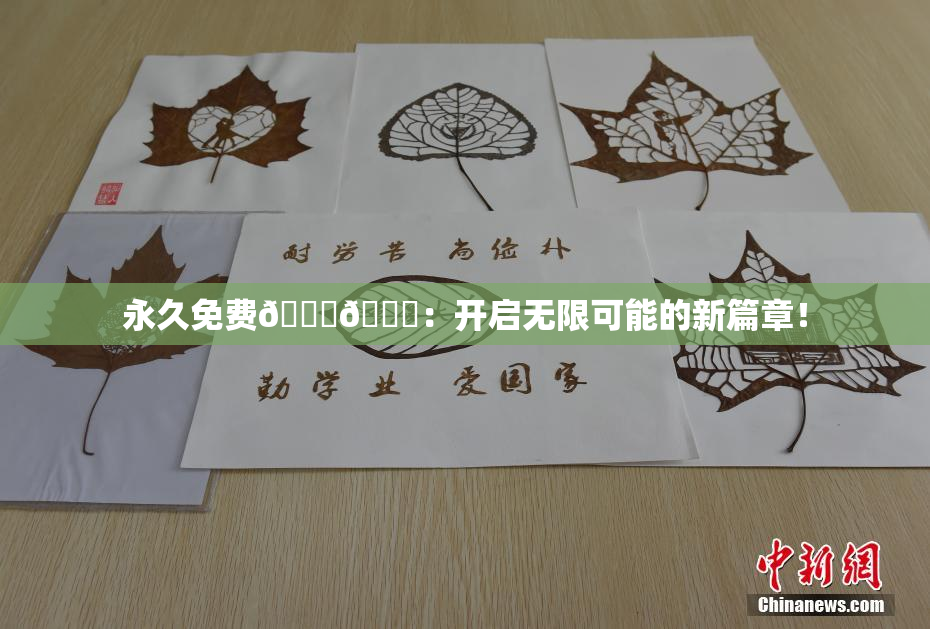 永久免费🔞🔞：开启无限可能的新篇章！