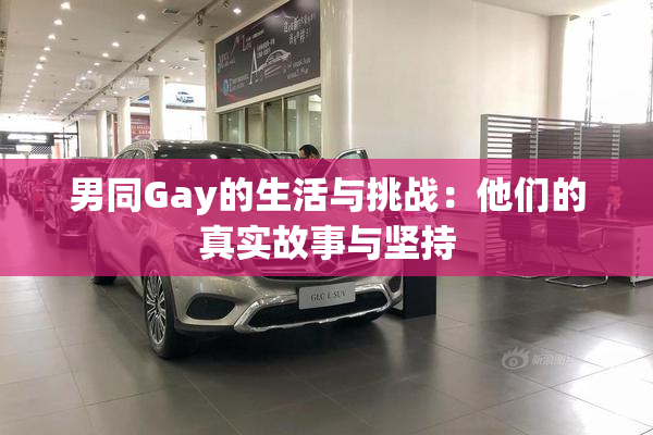 男同Gay的生活与挑战：他们的真实故事与坚持