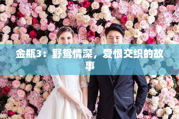 金瓶3：野鸳情深，爱恨交织的故事