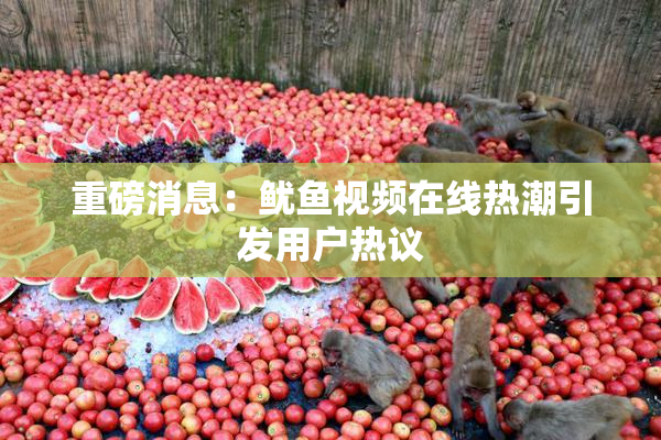 重磅消息：鱿鱼视频在线热潮引发用户热议