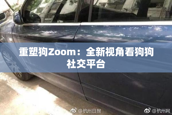 重塑狗Zoom：全新视角看狗狗社交平台